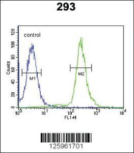 Anti-GBP7 Rabbit Polyclonal Antibody