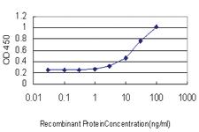 Anti-PAX7 Mouse Monoclonal Antibody [clone: 3H1]