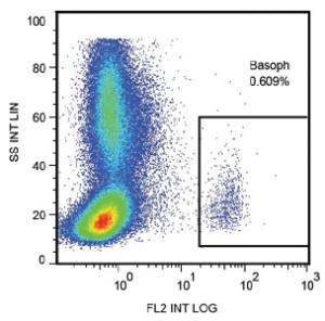 Anti-LAMP1 Mouse Monoclonal Antibody (PE (Phycoerythrin)) [clone: H4A3]