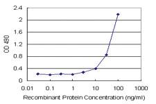 Anti-HMGB2 Mouse Monoclonal Antibody (Biotin)