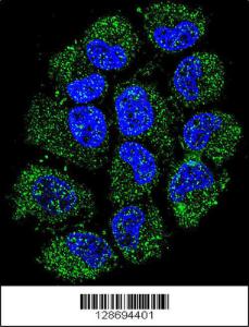 Anti-CL029 Rabbit Polyclonal Antibody (Biotin)