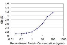 Anti-PAX7 Mouse Monoclonal Antibody [clone: 4F8]