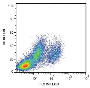 Anti-FCGR1C Mouse Monoclonal Antibody (FITC (Fluorescein isothiocyanate)) [clone: 10.1]