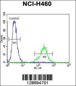 Anti-CL029 Rabbit Polyclonal Antibody (Biotin)