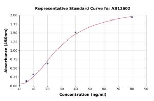 Representative standard curve for Human JNK1 ELISA kit (A312602)