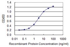 Anti-PDCL Mouse Monoclonal Antibody [clone: 4G5]