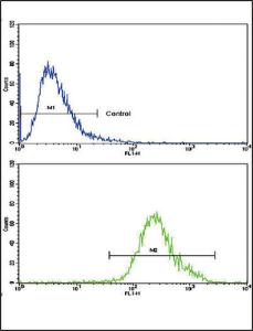 Anti-CNOT8 Rabbit Polyclonal Antibody (AP (Alkaline Phosphatase))