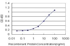 Anti-CD93 Mouse Monoclonal Antibody [clone: 3D12]