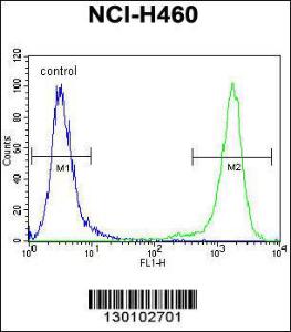 Anti-VSTM4 Rabbit Polyclonal Antibody (Biotin)