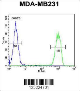 Anti-CJ119 Rabbit Polyclonal Antibody (AP (Alkaline Phosphatase))