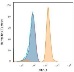 Flow cytometric analysis of human Jurkat cells using Anti-Bax Antibody [2D2] followed by Goat Anti-Mouse IgG (CF and #174; 488) (Orange). Unstained cells (Blue). Isotype Control (Red)