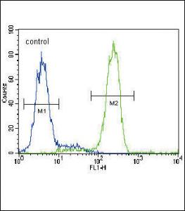 Anti-PPARG Rabbit Polyclonal Antibody (AP (Alkaline Phosphatase))