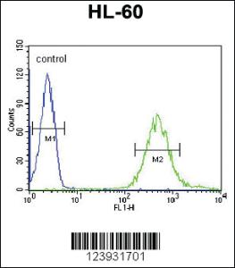 Anti-FUT6 Rabbit Polyclonal Antibody