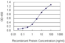 Anti-APOBR Mouse Monoclonal Antibody [clone: 2D7]