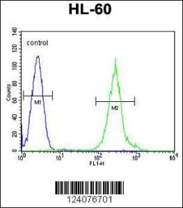 Anti-FANCC Rabbit Polyclonal Antibody (FITC (Fluorescein Isothiocyanate))