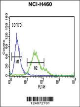 Anti-FCGR1A Rabbit Polyclonal Antibody