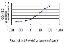 Anti-TREM1 Mouse Monoclonal Antibody [clone: 2E2]