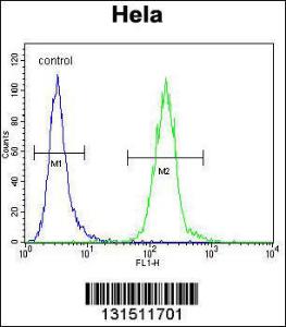 Anti-LDLRAD2 Rabbit Polyclonal Antibody (Biotin)