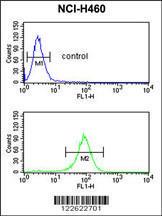 Anti-EXOC5 Rabbit Polyclonal Antibody (AP (Alkaline Phosphatase))