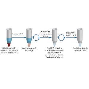Isolation d'ADN génomique OmniPrep™