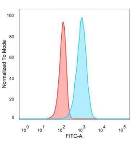 Flow cytometric analysis of PFA fixed U87 cells using Anti-IRF3 Antibody [PCRP-IRF3-6C8] followed by Goat Anti-Mouse IgG (CFand#174; 488) (Blue). Unstained cells (red)