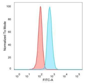 Flow cytometric analysis of PFA fixed Raji cells using Anti-IRF3 Antibody [PCRP-IRF3-6C8] followed by Goat Anti-Mouse IgG (CFand#174; 488) (Blue). Unstained cells (red)