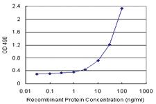 Anti-COL9A1 Polyclonal Antibody Pair