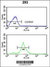 Anti-TSPAN12 Rabbit Polyclonal Antibody (AP (Alkaline Phosphatase))