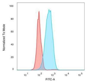 Flow cytometric analysis of PFA fixed MCF-7 cells using Anti-IRF3 Antibody [PCRP-IRF3-6C8] followed by Goat Anti-Mouse IgG (CFand#174; 488) (Blue). Unstained cells (red)