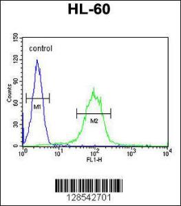 Anti-CHST2 Rabbit Polyclonal Antibody (PE (Phycoerythrin))