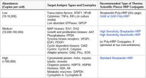 Streptavidin poly-HRP conjugate, Pierce™