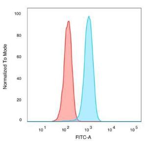 Flow cytometric analysis of PFA fixed K562 cells using Anti-IRF3 Antibody [PCRP-IRF3-6C8] followed by Goat Anti-Mouse IgG (CFand#174; 488) (Blue). Unstained cells (red)