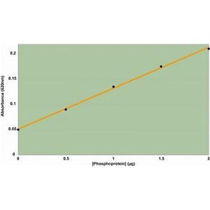 Kit d'enrichissement de protéines PhosphoQuant™
