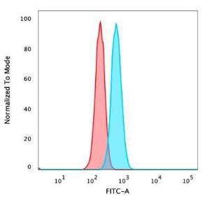 Flow cytometric analysis of PFA fixed HeLa cells using Anti-IRF3 Antibody [PCRP-IRF3-6C8] followed by Goat Anti-Mouse IgG (CFand#174; 488) (Blue). Unstained cells (red)