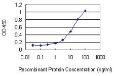 Anti-MAPRE1 Mouse Monoclonal Antibody [clone: 4F3]