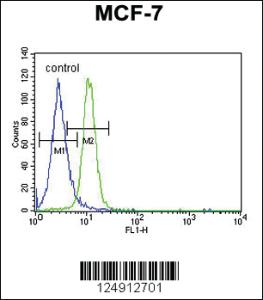 Anti-PSG7 Rabbit Polyclonal Antibody