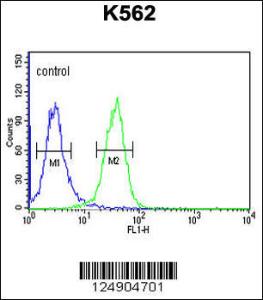 Anti-PGP Rabbit Polyclonal Antibody (FITC (Fluorescein Isothiocyanate))