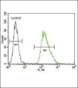 Anti-CMGA Rabbit Polyclonal Antibody (HRP (Horseradish Peroxidase))