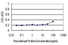 Anti-CD58 Mouse Monoclonal Antibody [clone: 2D11-B10]