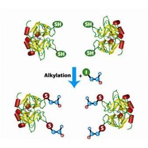 Kit d'alkylation des protéines