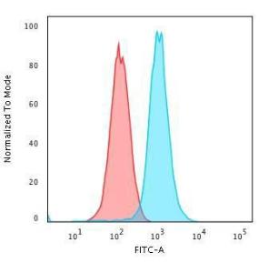 Flow cytometric analysis of K562 cells using Anti-RAD51 Antibody [RAD51/2701] followed by Goat Anti-Mouse IgG (CF&#174; 488) (Blue). Isotype Control (Red).