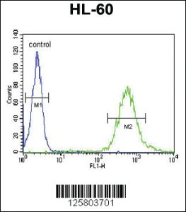 Anti-WDTC1 Rabbit Polyclonal Antibody