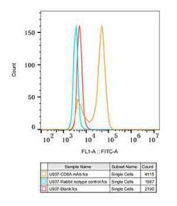 Flow cytometry analysis of U937 cells, stained with Rabbit IgG isotype control (10 µg/ml, blue line) or Anti-CD8 alpha Antibody [ARC0329] (A306457), (10 µg/ml orange line), followed by FITC conjugated goat anti-Rabbit polyclonal Antibody (AS083, 1:200 dilution) staining