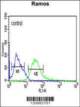 Anti-PHGDH Rabbit Polyclonal Antibody (APC (Allophycocyanin))