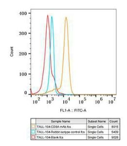 Flow cytometry analysis of TALL-104 cells, stained with Rabbit IgG isotype control (10 µg/ml, blue line) or Anti-CD8 alpha Antibody [ARC0329] (A306457), (10 µg/ml orange line), followed by FITC conjugated goat anti-Rabbit polyclonal Antibody (AS083, 1:200 dilution) staining