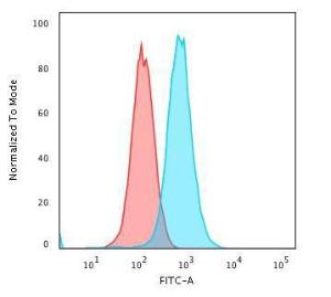 Flow cytometric analysis of K562 cells using Anti-RAD51 Antibody [RAD51/2702] followed by Goat Anti-Mouse IgG (CFand#174; 488) (Blue). Isotype Control (Red)