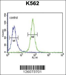 Anti-GTD2A Rabbit Polyclonal Antibody