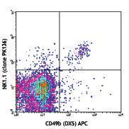 Anti-NK-1.1 Mouse Monoclonal Antibody [clone: PK136]