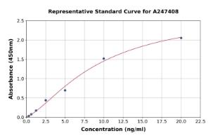 Representative standard curve for Human SynGAP ELISA kit (A247408)