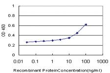 Anti-PCDH1 Mouse Monoclonal Antibody [clone: 4H2]